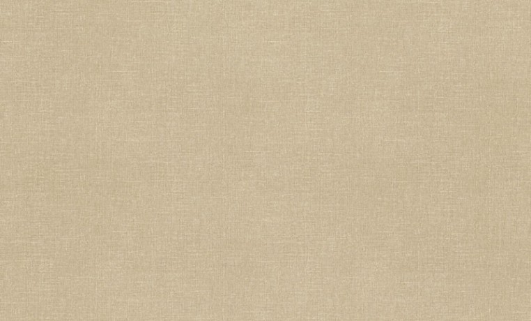 Обои Rasch Maximum XV 959543