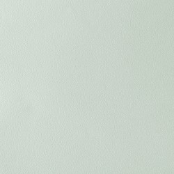 Обои FN26017 Parati&amp;Parati Uno 1.06x10