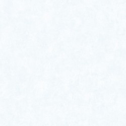 Обои Bernardo Bartalucci Bigi 5067-10