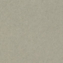 Обои 947410 Rasch Trend 1.06x10.05